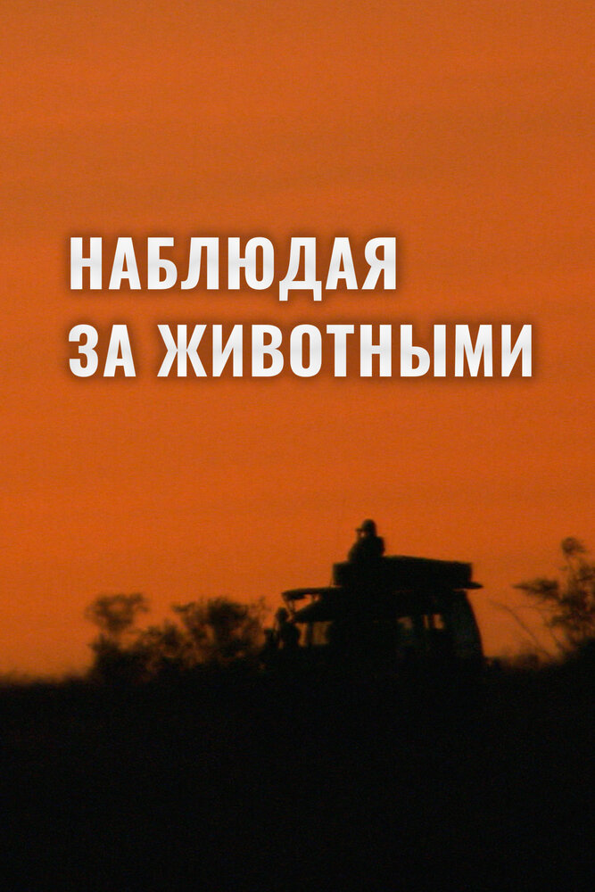 Наблюдая за животными (2013)