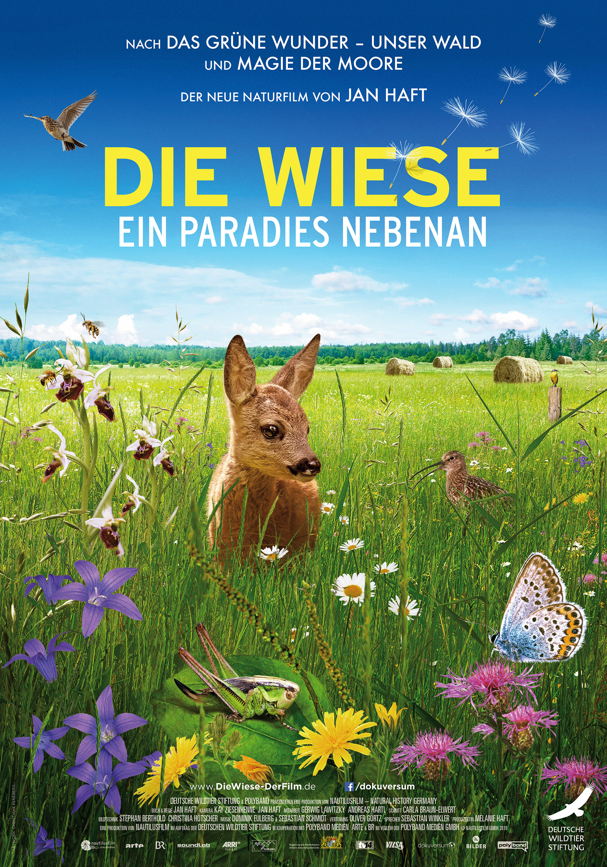 Die Wiese (2019)