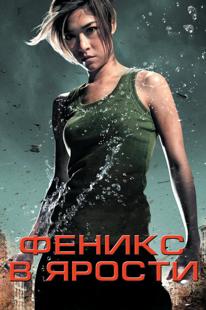 Феникс в ярости (2009)