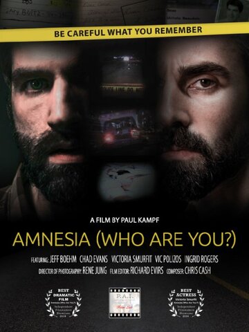 Amnesia: Who Are You? (2014)