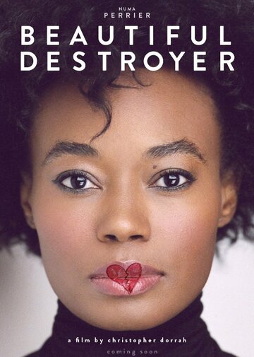 Beautiful Destroyer (2015)